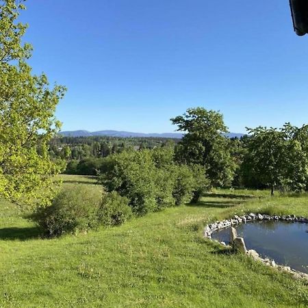 Cozy Apartment In Braunlage Near Forest Hohegeiss Luaran gambar