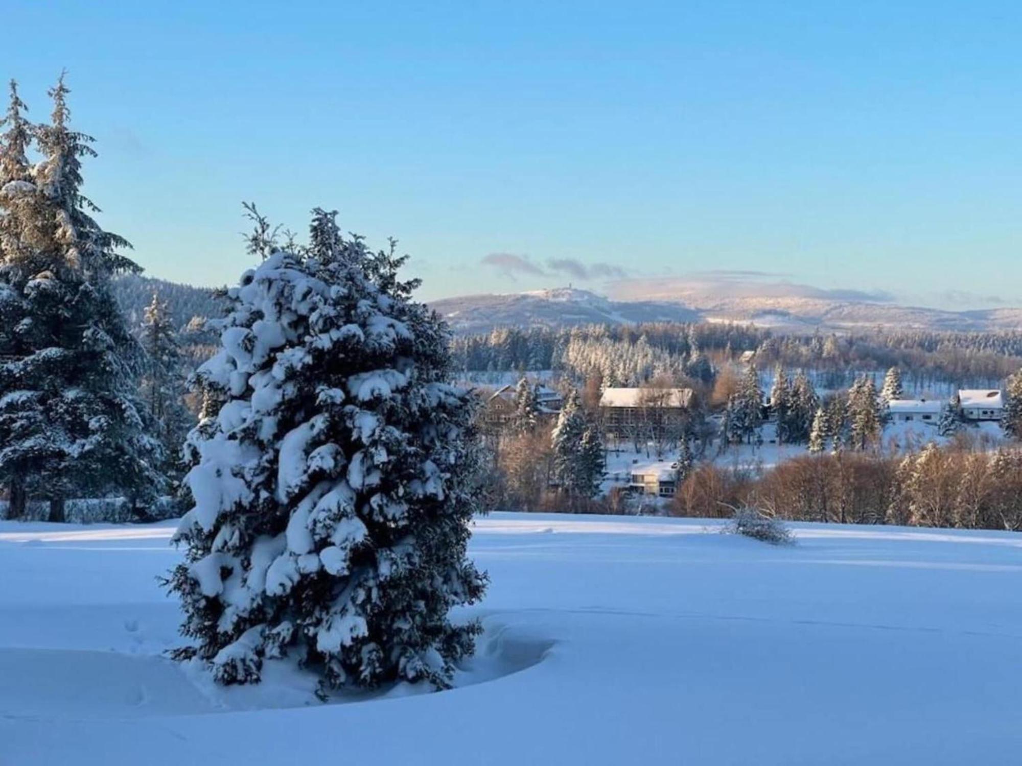 Cozy Apartment In Braunlage Near Forest Hohegeiss Luaran gambar