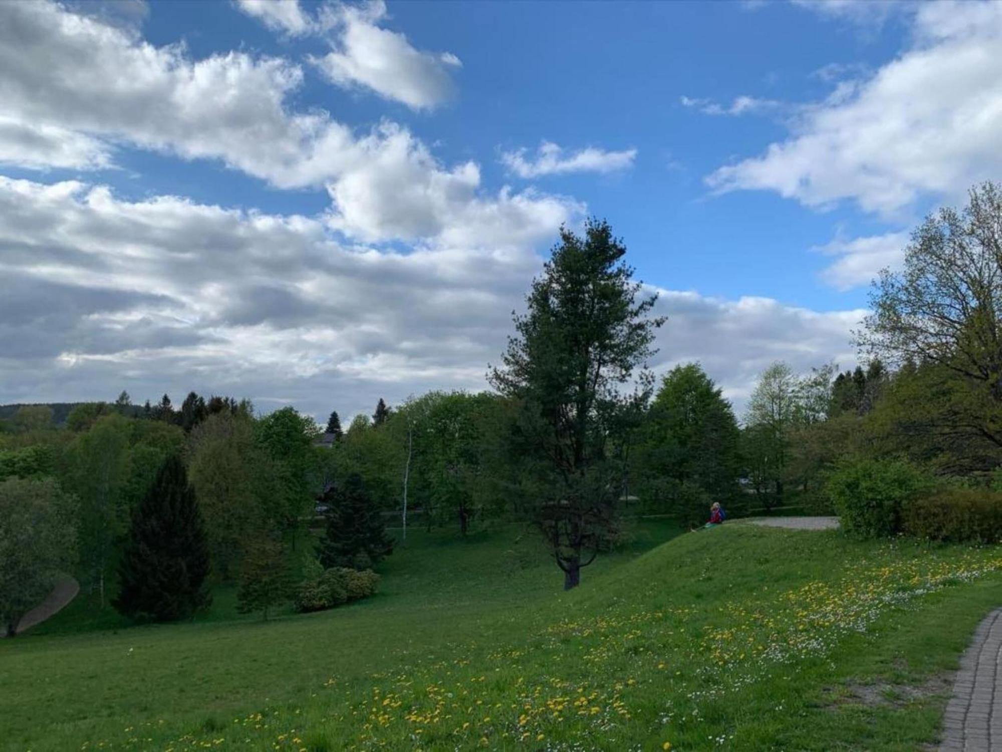 Cozy Apartment In Braunlage Near Forest Hohegeiss Luaran gambar
