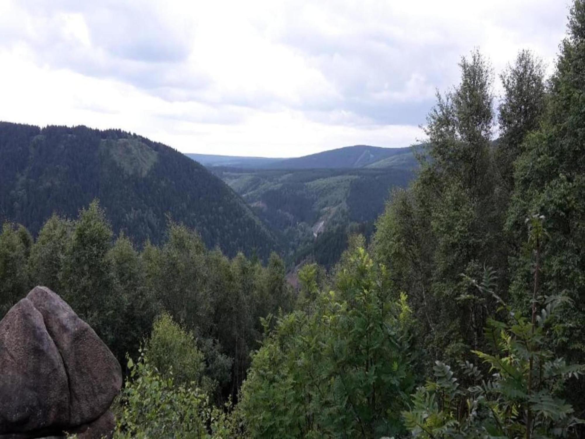 Cozy Apartment In Braunlage Near Forest Hohegeiss Luaran gambar