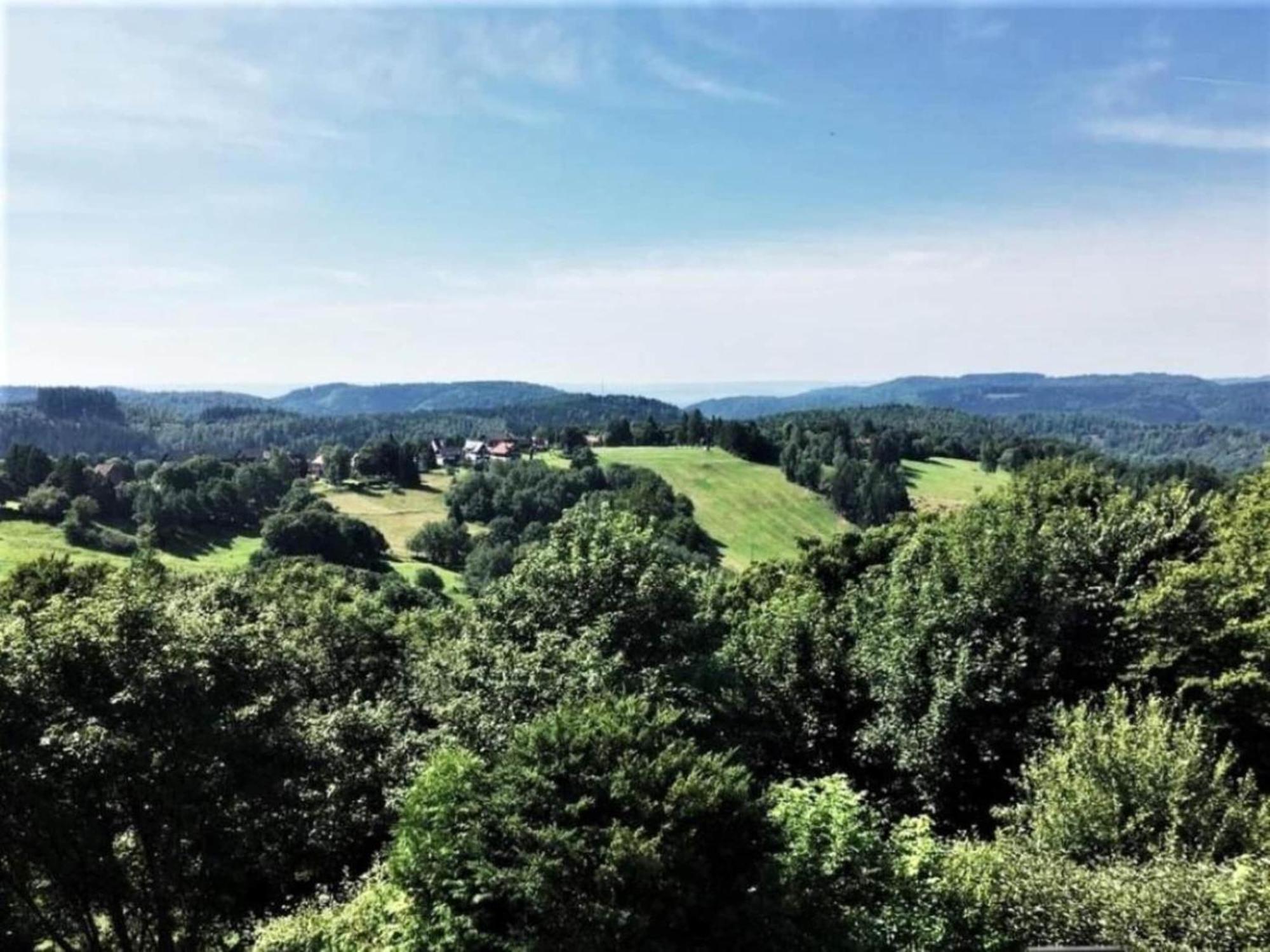 Cozy Apartment In Braunlage Near Forest Hohegeiss Luaran gambar